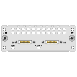 ماژول NIM-2T سیسکو